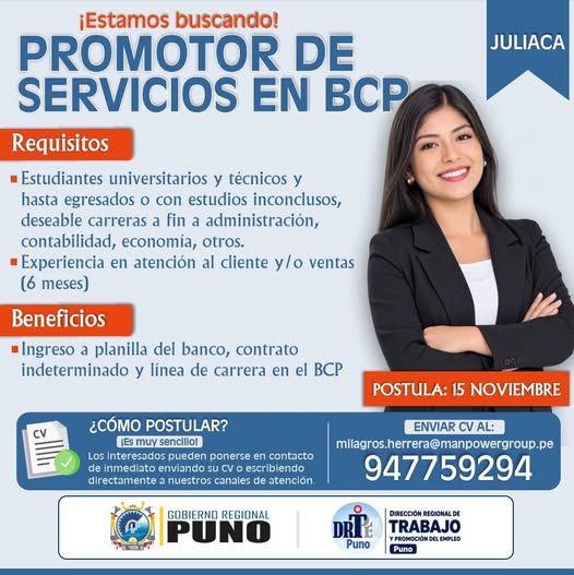 Flyer Promotor de servicios