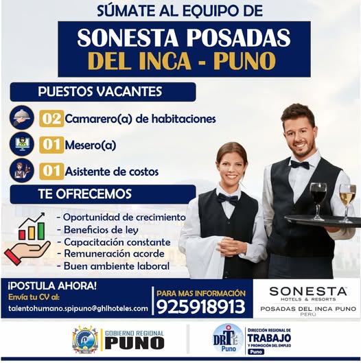 Flyer Camarero, Mesero y Asistente