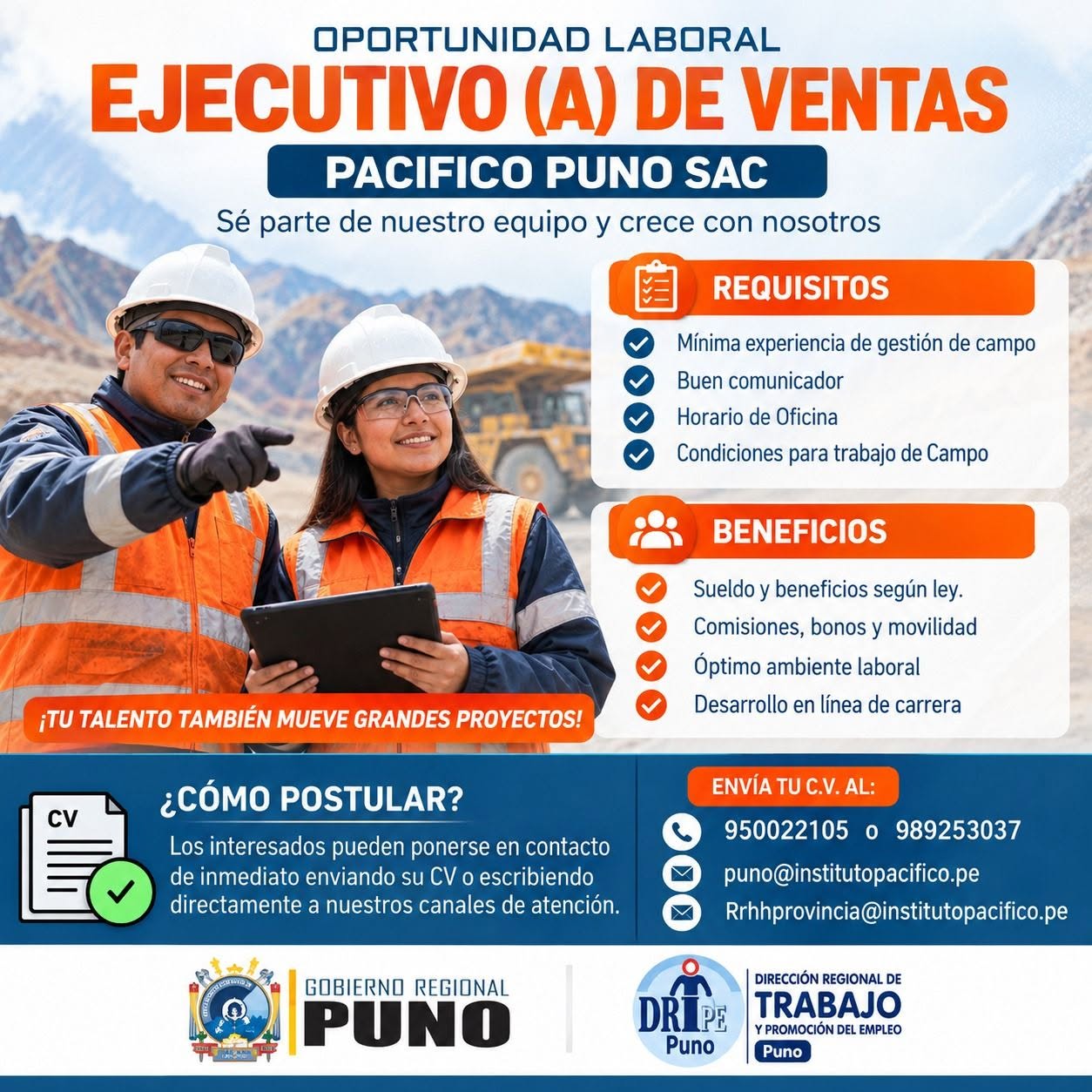 Flyer EJECUTIVO(A) DE VENTAS